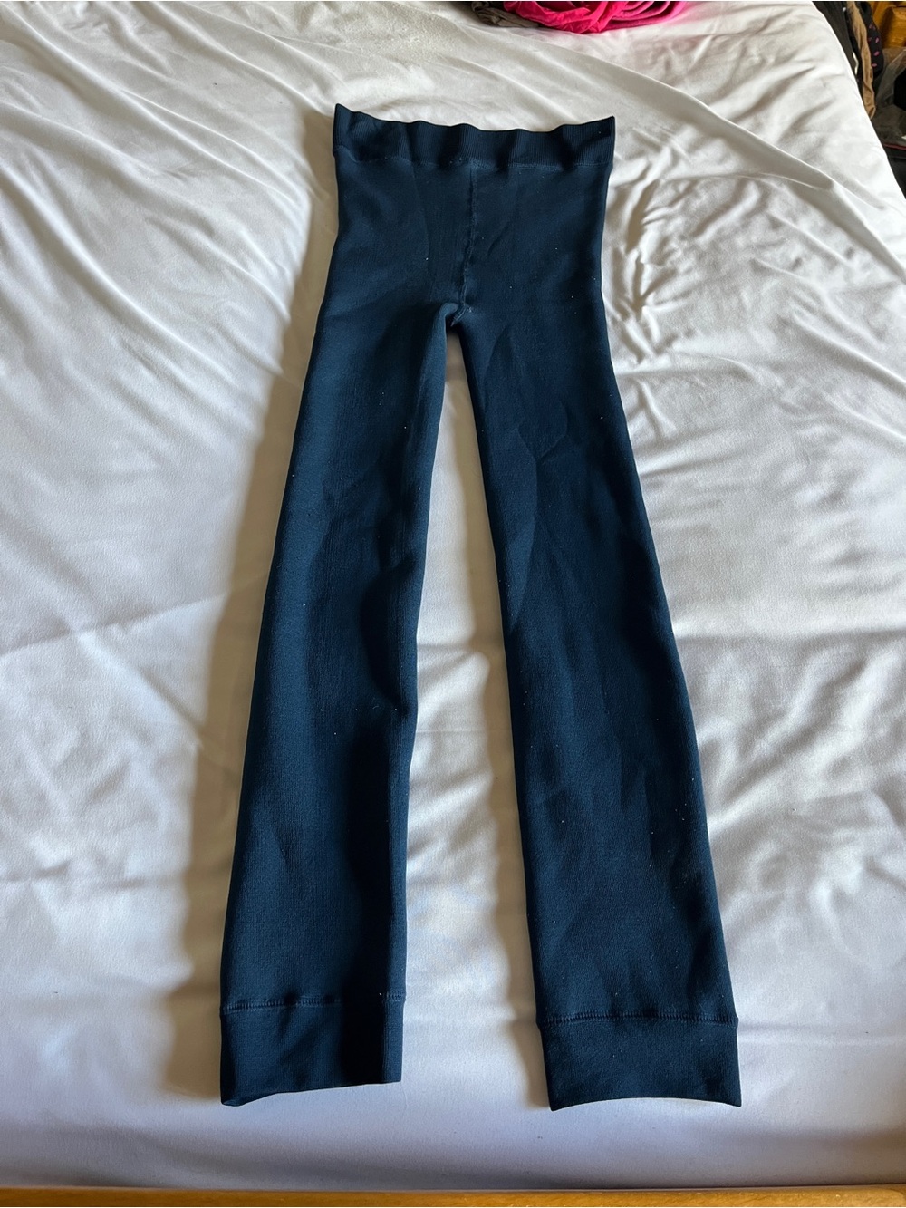 Time and Tru L-XL Blue Cove Fleece Lined Leggings Tights